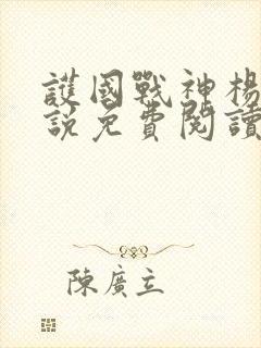 护国战神杨风小说免费阅读