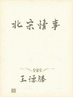 北宋情事