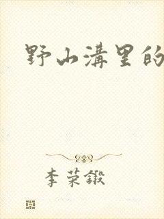 野山沟里的村庄