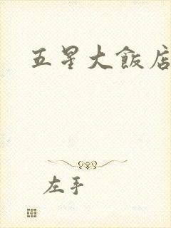 五星大饭店小说