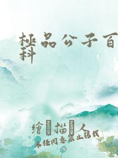 极品公子百度百科