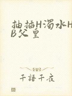 抽插H浊水H嫩B父皇