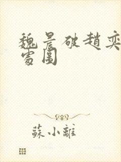 魏晨破赵奕欢的处图