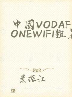 中国VODAFONEWIFI粗暴APP