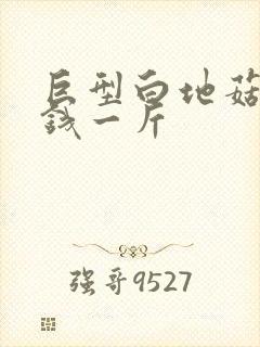 巨型白地菇多少钱一斤