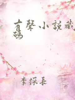 有声小说藏地密码