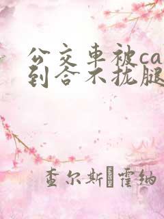 公交车被cao到合不拢腿视频