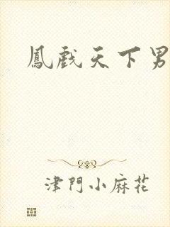 凤戏天下男