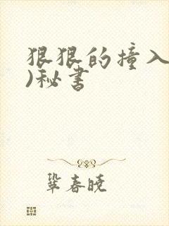 狠狠的撞入(h)秘书