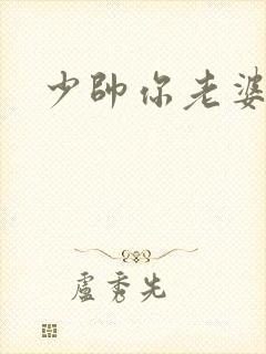 少帅你老婆