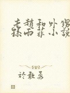 老赵和外甥媳妇孙雨菲小说