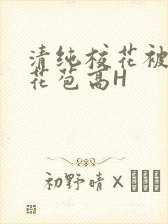 清纯校花被迫开花苞高H