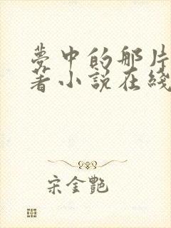 梦中的那片海原著小说在线阅读