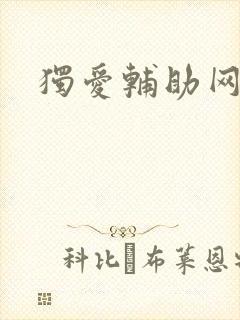 独爱辅助网