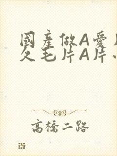 国产做A爱片久久毛片A片小说