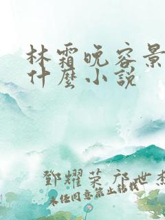 林霜晚容景渊是什么小说