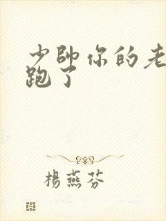 少帅你的老婆又跑了