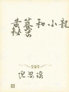 黄蓉和小龙女的秘密