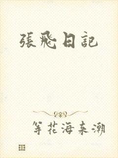 张飞日记