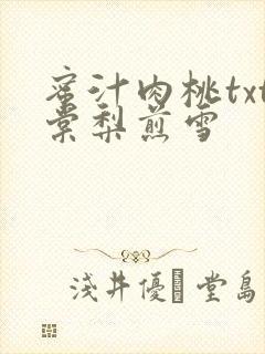 蜜汁肉桃txt棠梨煎雪