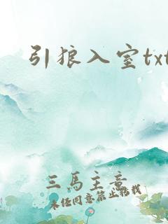 引狼入室txt
