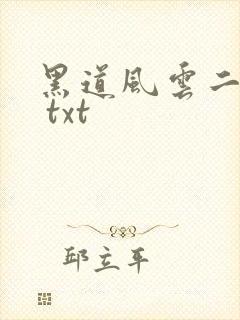 黑道风云二十年 txt