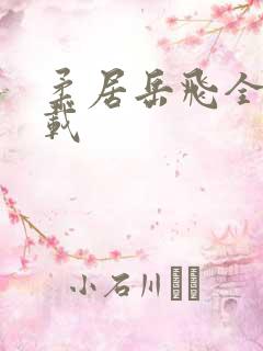 柔居岳飞全传下载