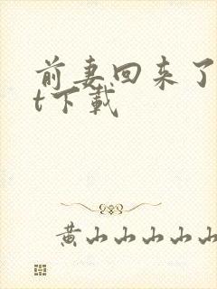 前妻回来了txt下载