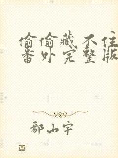 偷偷藏不住新婚番外完整版