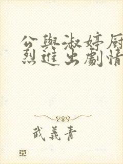 公与淑婷厨房猛烈进出剧情介绍