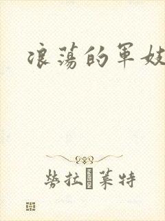 浪荡的军妓h