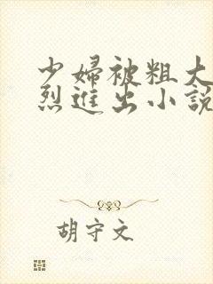 少妇被粗大的猛烈进出小说网