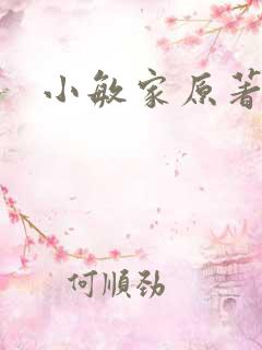 小敏家原著小说