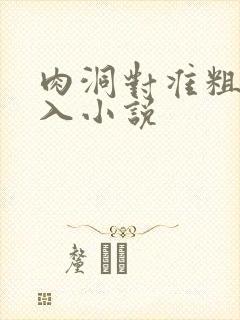 肉洞对准粗大坐入小说