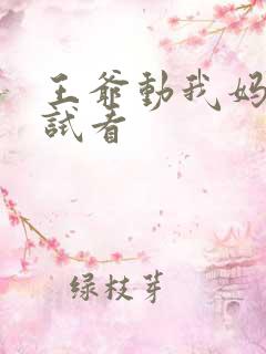 王爷动我妈咪试试看