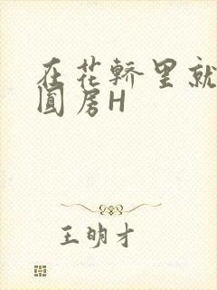 在花轿里就开始圆房H