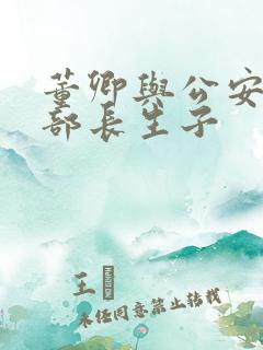 董卿与公安部副部长生子