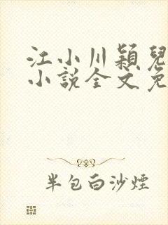 江小川颖儿穿越小说全文免费阅读