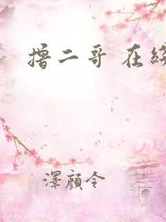 撸二哥 在线
