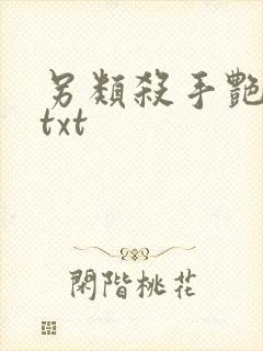 另类杀手艳福星txt