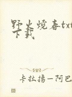 野火烧春txt下载