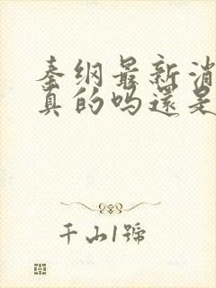 秦纲最新消息是真的吗还是假的