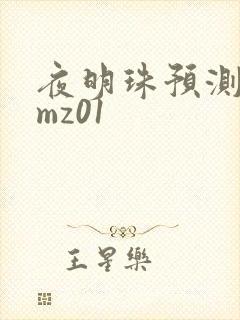 夜明珠预测 ymz01