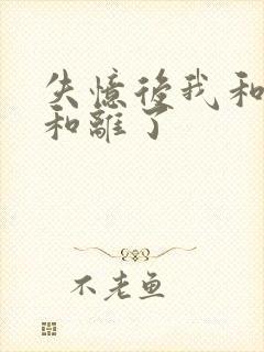 失忆后我和王爷和离了