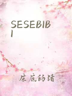 SESEBIBI