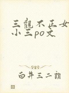 三观不正女主是小三po文