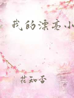 我的漂亮小后妈