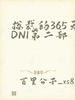 总裁的365天DNI第二部