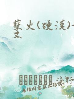 孽火(硬汉)今又