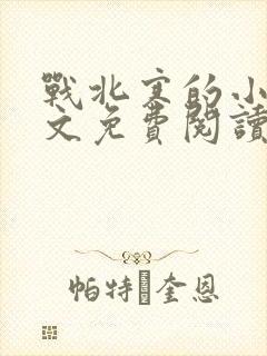 战北寒的小说全文免费阅读无弹窗